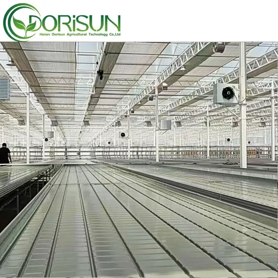 Bandejas del banco del balanceo de la tabla del invernadero del semillero del metal del invernadero agrícola